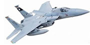 Freewing F-15C 90mm EDF Jet PNP Rc airplane