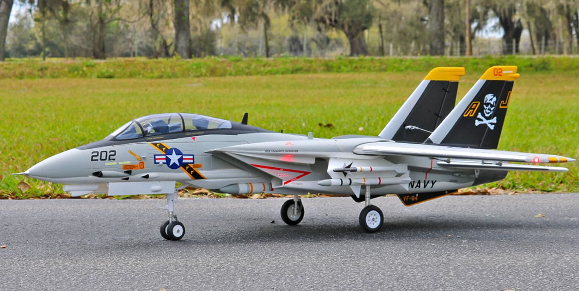 Freewing F-14 Tomcat Twin 64mm EDF Jet ARF Plus RC Airplane