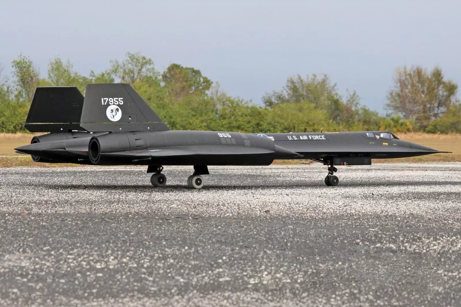 unboxing and assembly of the Freewing SR-71 Blackbird Twin 70mm EDF RC Jet