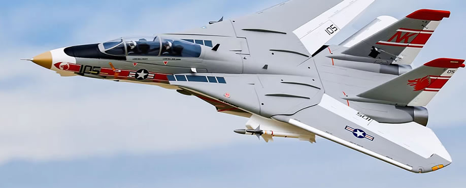 >Freewing F-14 Tomcat Twin V2 64mm EDF PNP JET