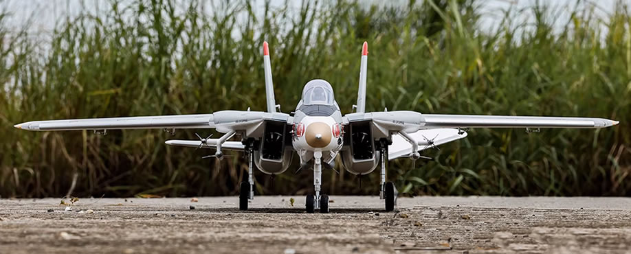 >Freewing F-14 Tomcat Twin V2 64mm EDF PNP JET
