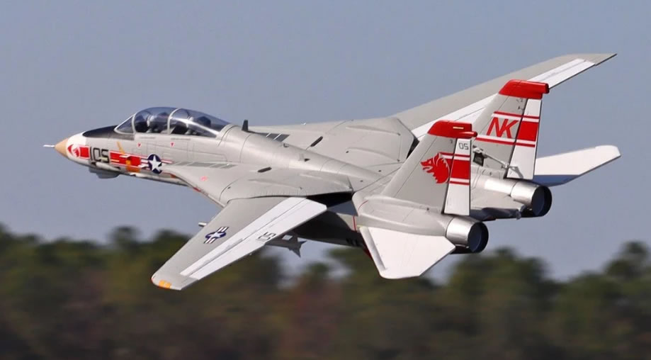 >Freewing F-14 Tomcat Twin V2 64mm EDF PNP JET
