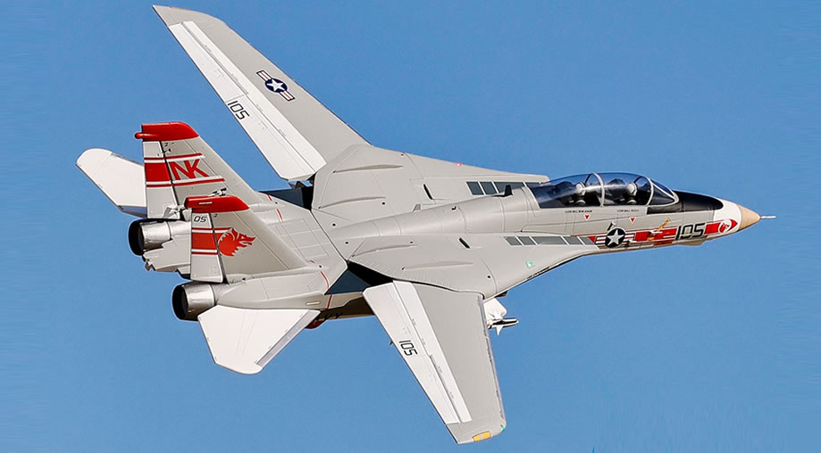 >Freewing F-14 Tomcat Twin V2 64mm EDF PNP JET