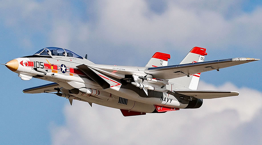 >Freewing F-14 Tomcat Twin V2 64mm EDF PNP JET