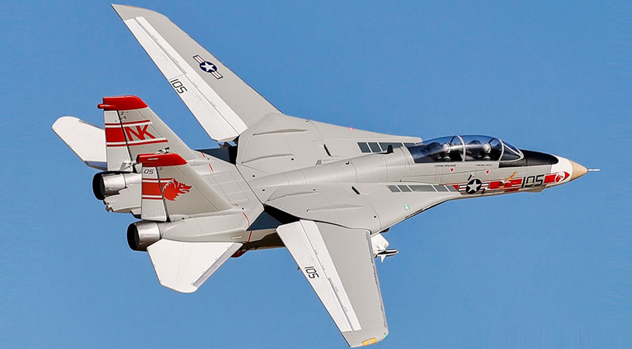 >Freewing F-14 Tomcat Twin V2 64mm EDF PNP JET