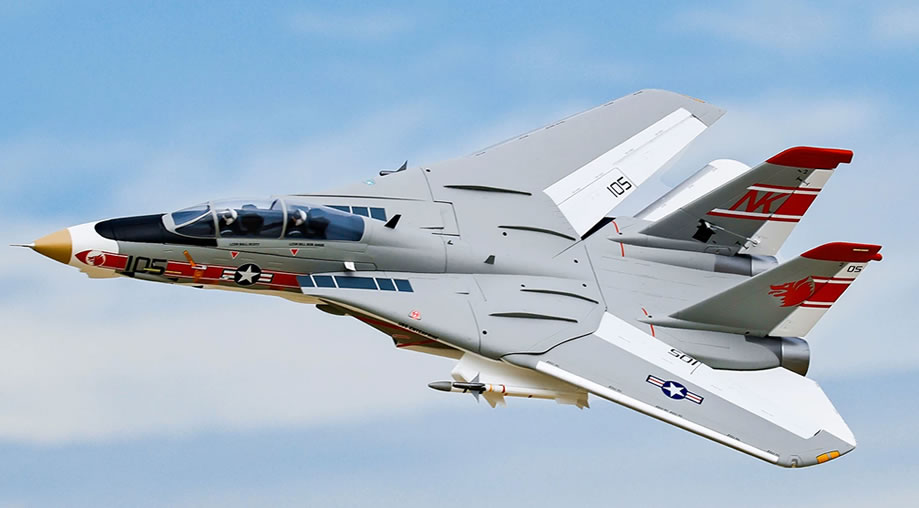 >Freewing F-14 Tomcat Twin V2 64mm EDF PNP JET