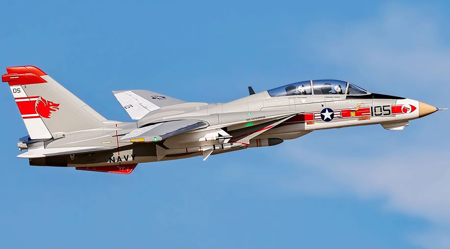 >Freewing F-14 Tomcat Twin V2 64mm EDF PNP JET