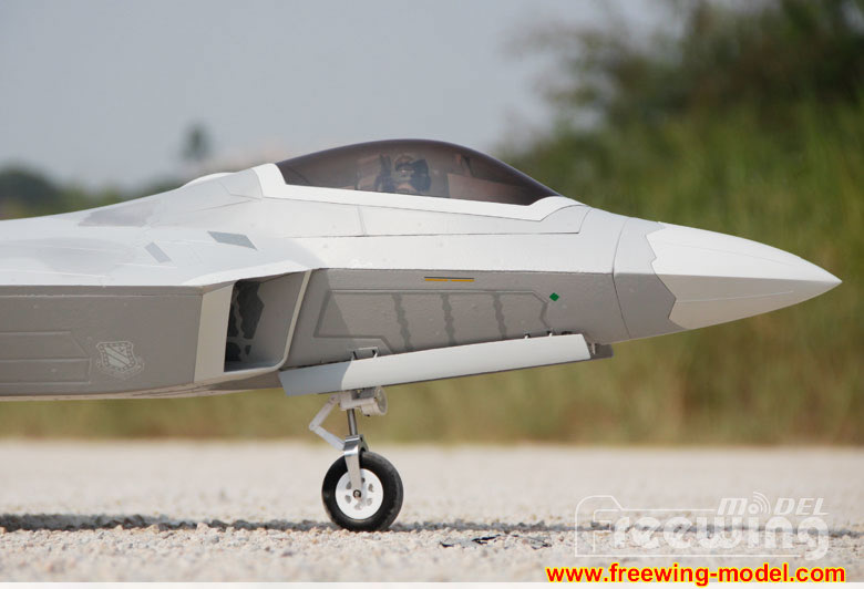 Freewing F-22 Raptor Ultra Performance 8S 90mm EDF Jet airplane