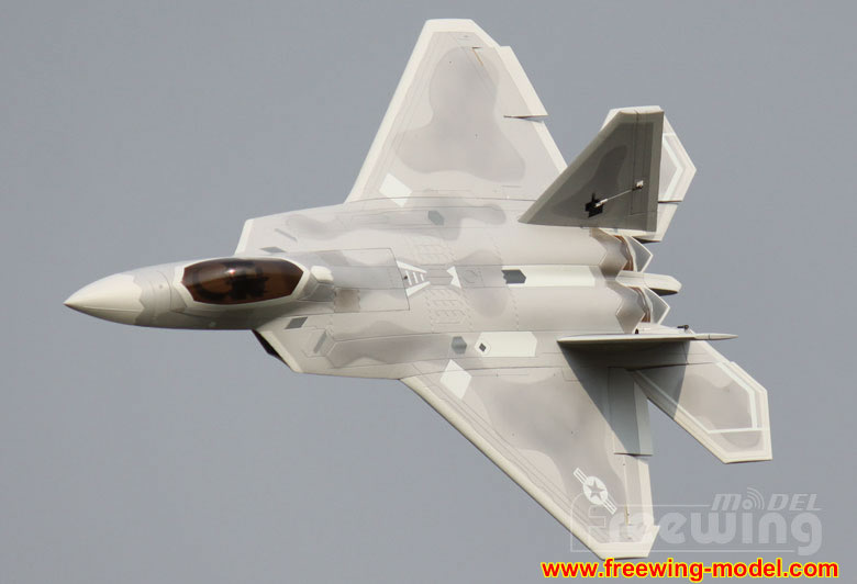 Freewing F-22 Raptor Ultra Performance 8S 90mm EDF Jet airplane