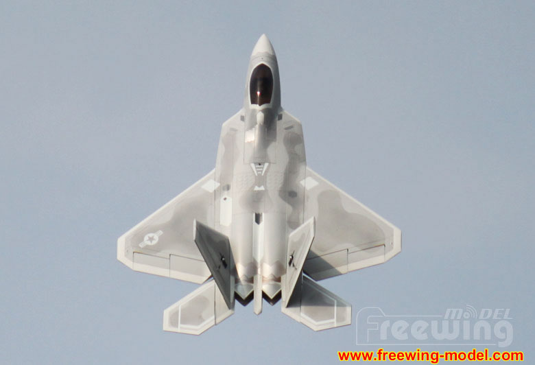 Freewing F-22 Raptor Ultra Performance 8S 90mm EDF Jet airplane