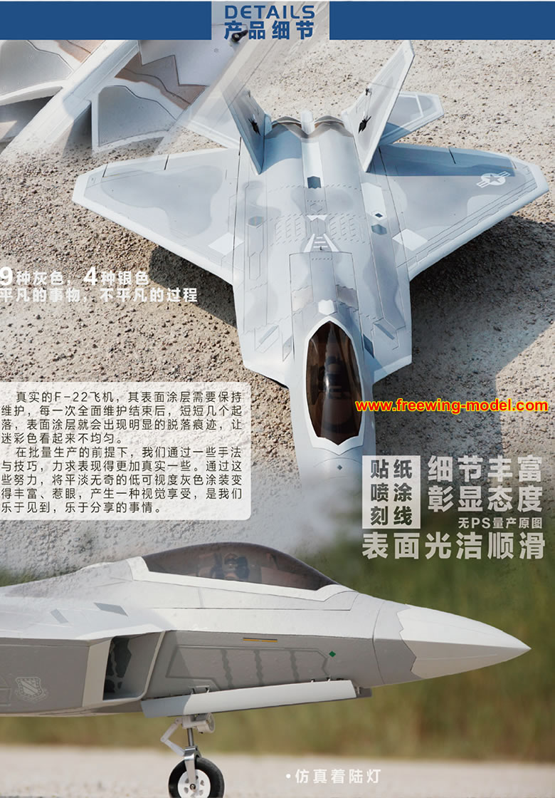 RC F-22 Raptor RC Jet Wingspan 850 mm EDF Jet Avião com controlo remoto -  China Avião com controlo remoto e avião RC preço