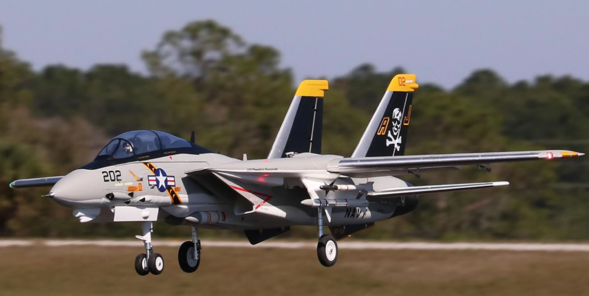 Freewing F-14 Tomcat Twin 64mm EDF Jet ARF Plus RC Airplane