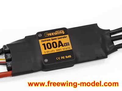Freewing 100A ESC with EC5 connector