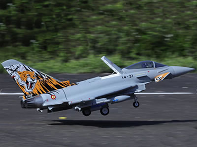 Freewing Eurofighter Typhoon 90mm EDF Jet - ARF PLUS RC Airplane