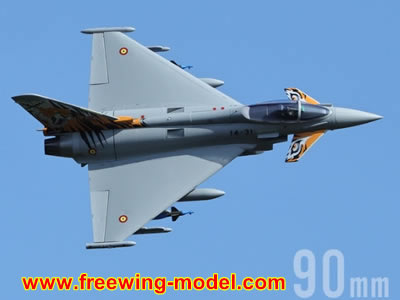 Freewing Eurofighter Typhoon 8S 90mm EDF Jet PNP RC airplane