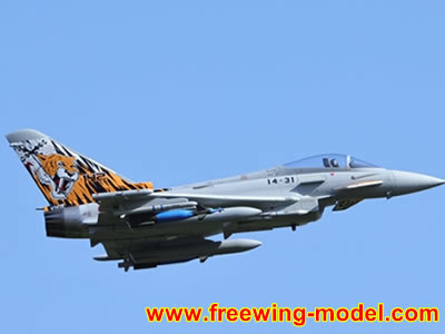 Freewing Eurofighter Typhoon 90mm Jet ARF