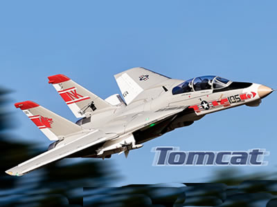 Freewing F-14 V2 Tomcat  Twin 64mm EDF PNP RC Jet