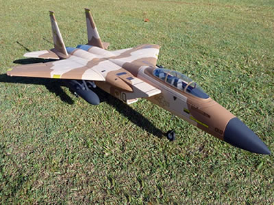 Freewing F-15 Eagle 64mm RC EDF Jet PNP Rc Airplane cheap