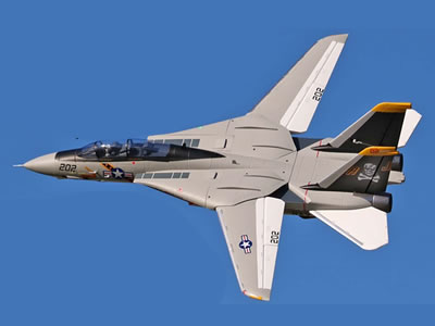 Freewing F14 Tomcat twin 64mm Jet