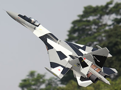 Freewing SU35 Grey Camo Twin 70mm